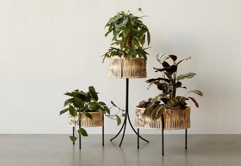  Three Umanoff Planter by Arther Umanoff for Audo Copenhagen stood together.