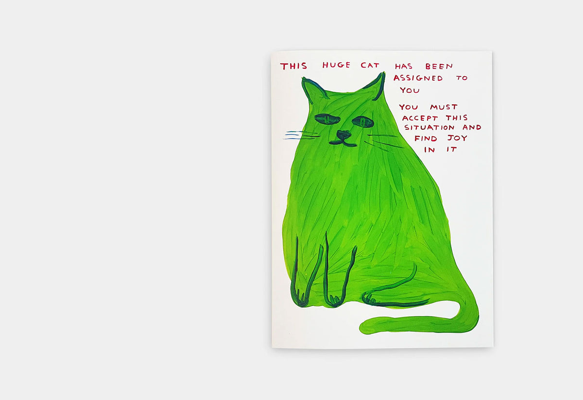 This Huge Cat Musical Card, David shrigley, Shrig shop