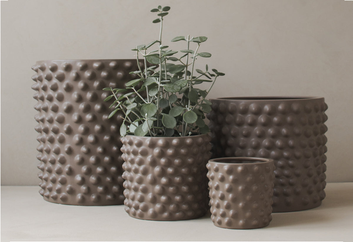 Cloudy Pot, Dbkd