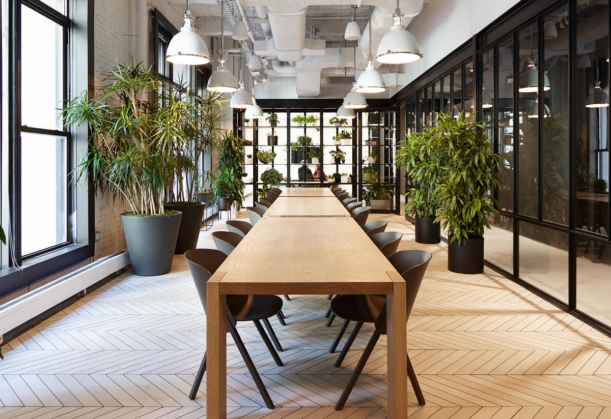London Table, Philipp mainzer, E15