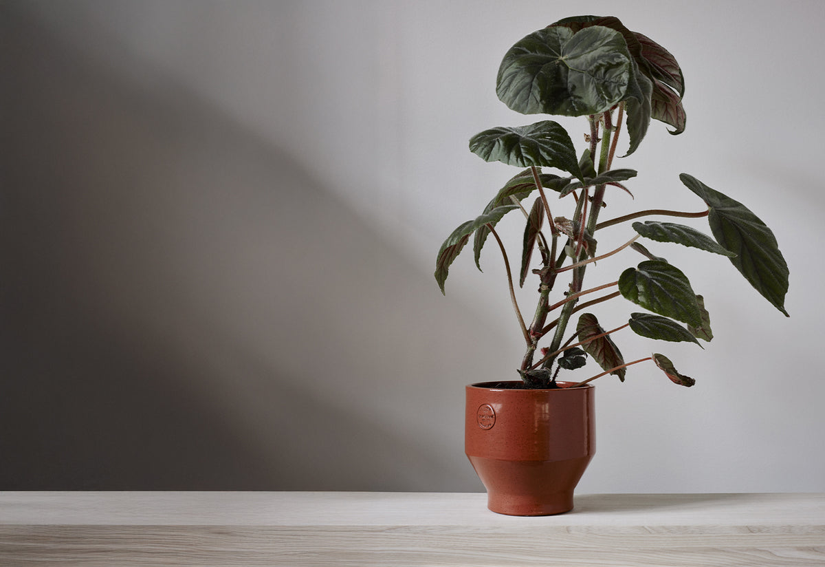 Edge Pot, Stilleben, Fritz hansen