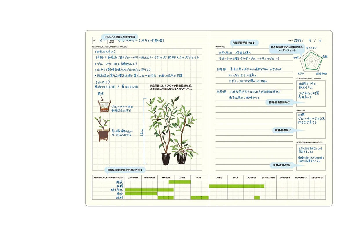 Style Notebook | Green