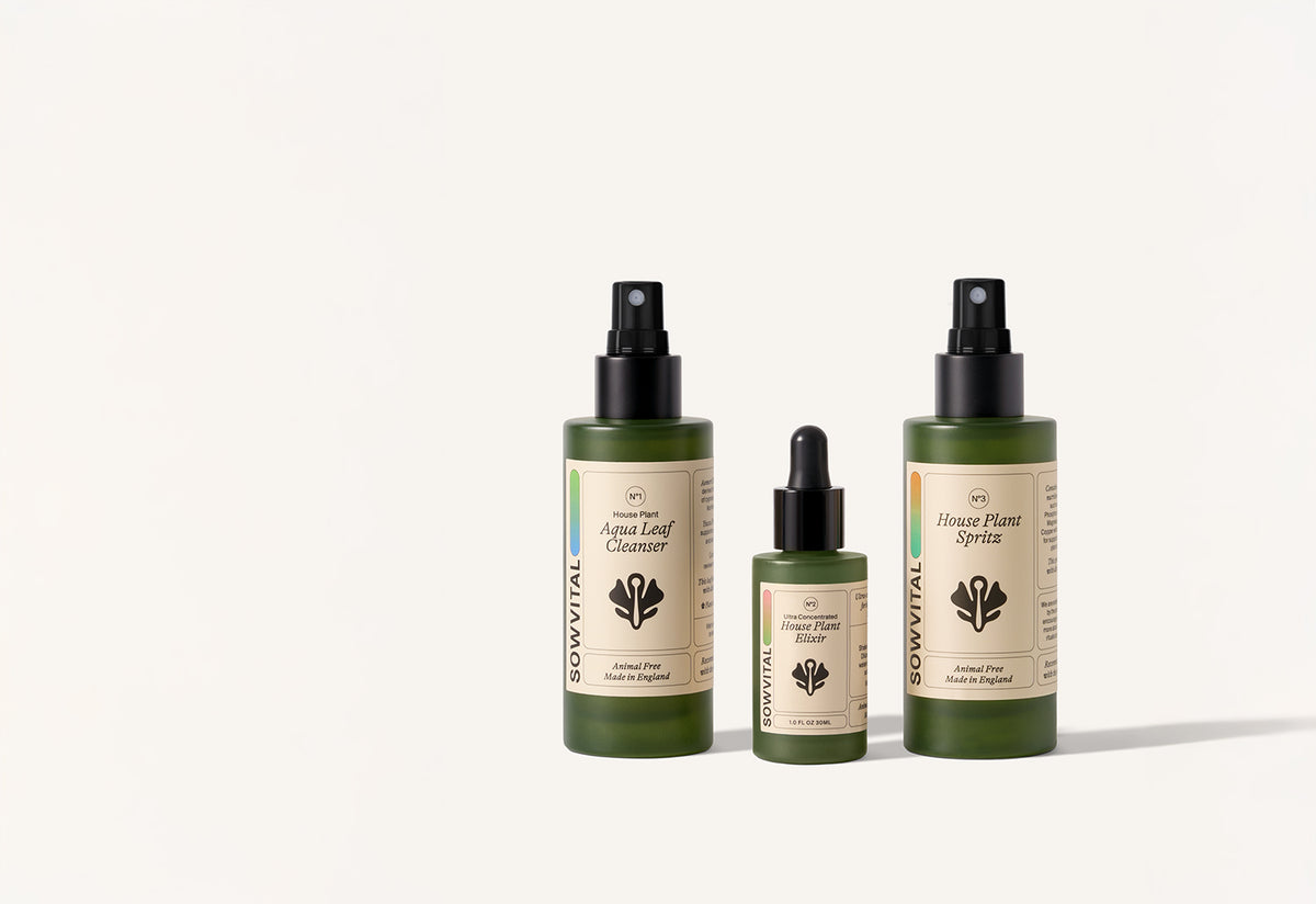 House Plant Discovery Kit, Sowvital