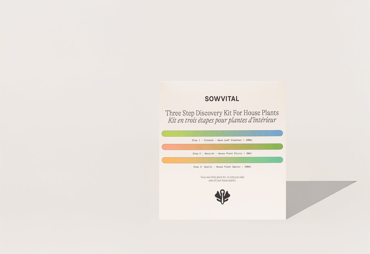 House Plant Discovery Kit, Sowvital