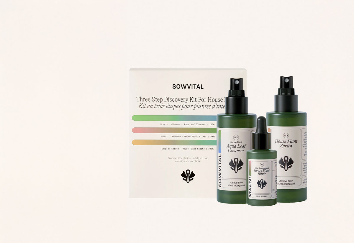 House Plant Discovery Kit, Sowvital