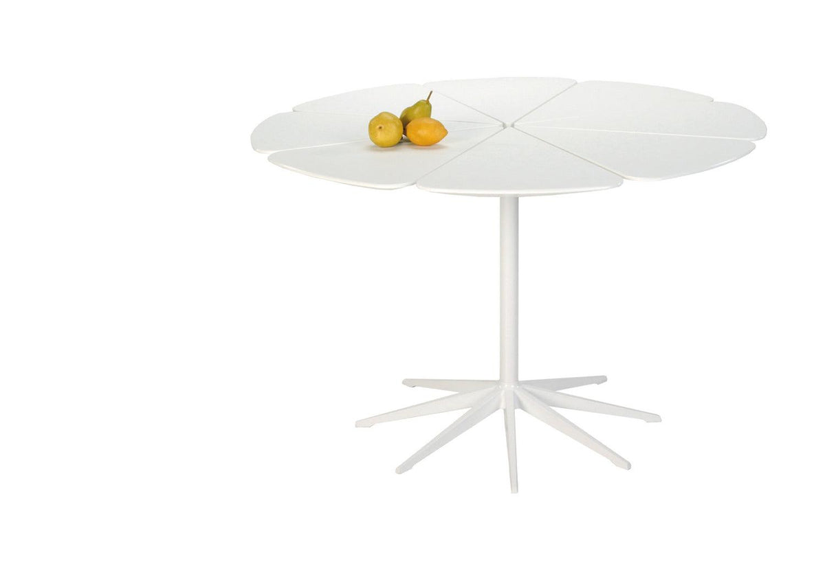 Petal outdoor table, 1960, Richard schultz, Knoll