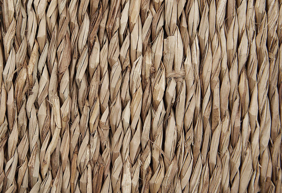Seagrass Squares