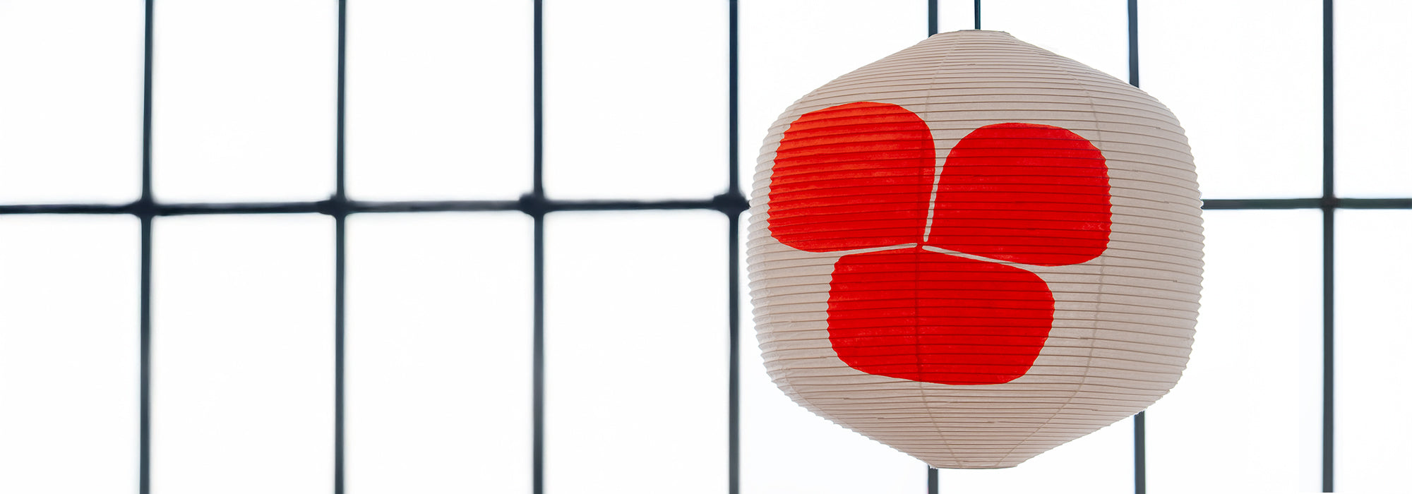 【hotaru】 Hotaru | A Decade of Light