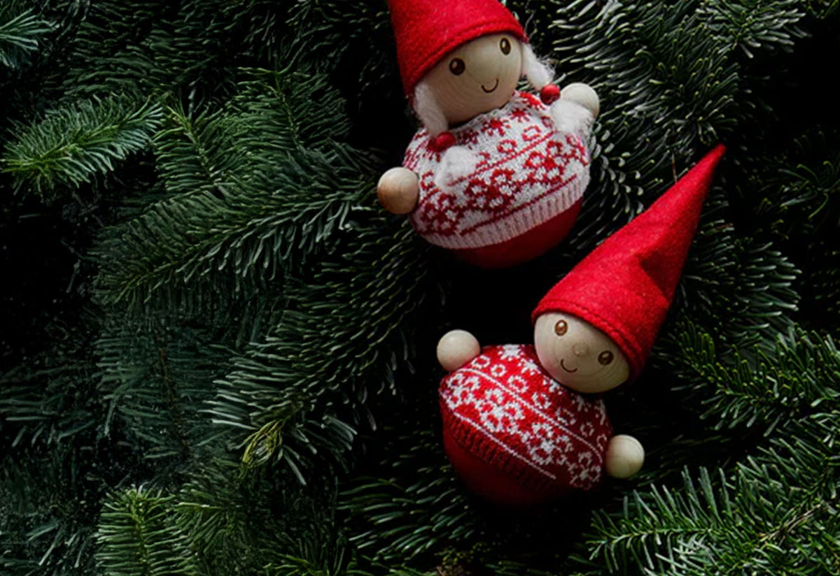 Elf Boy Jumper, Aarikka