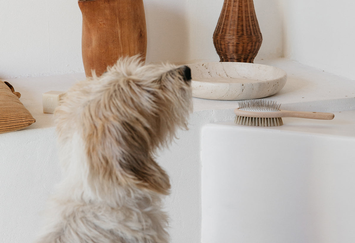 Double Sided Pet Brush, Andree jardin
