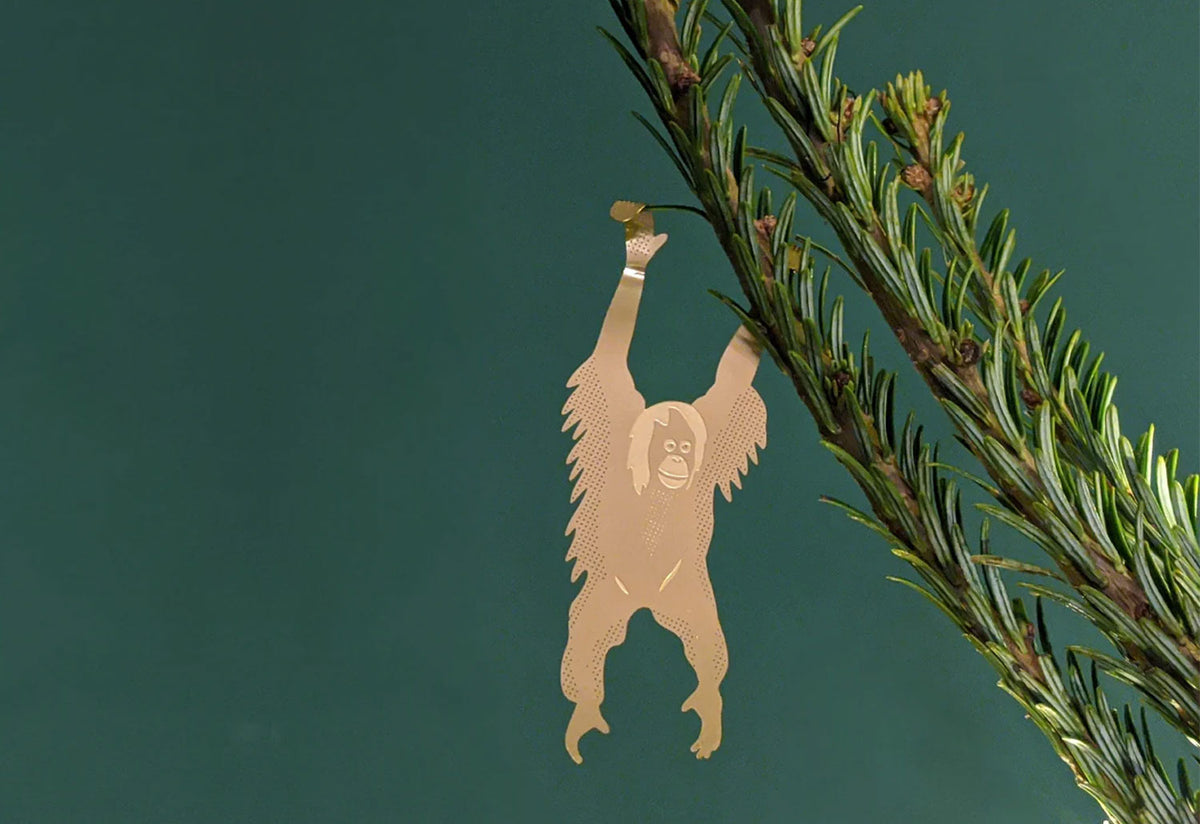 Plant Animals, Another studio
