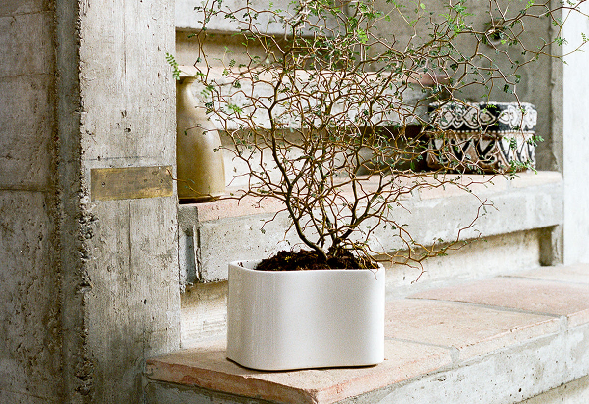 Riihitie Plant Pot, Aino aalto, Artek