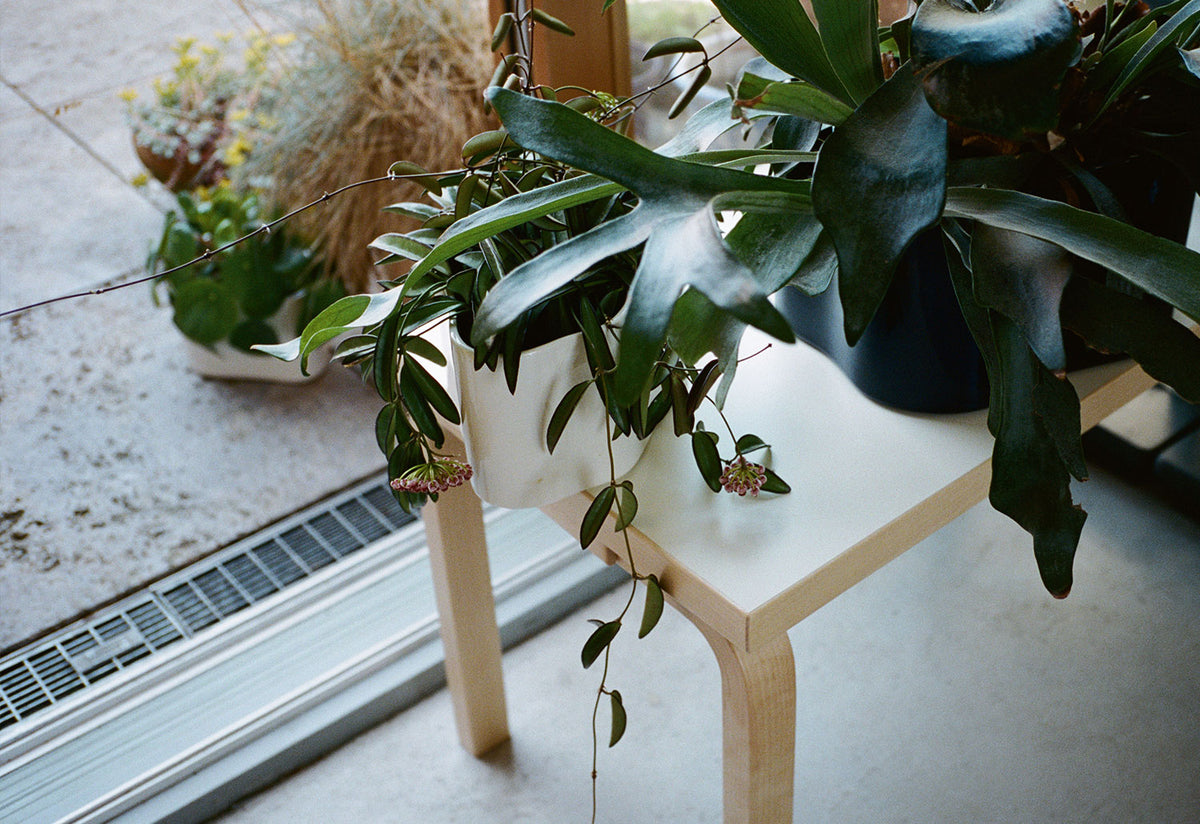 Riihitie Plant Pot, Aino aalto, Artek