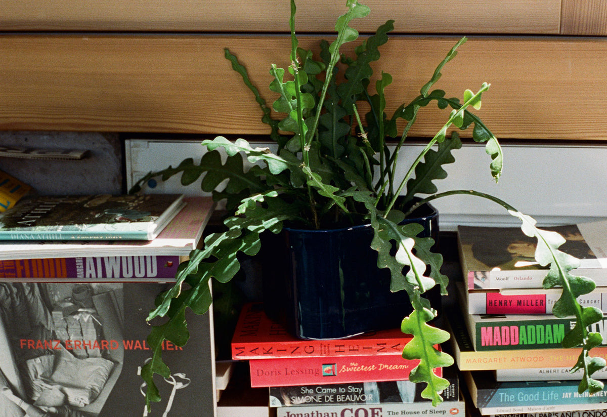 Riihitie Plant Pot, Aino aalto, Artek