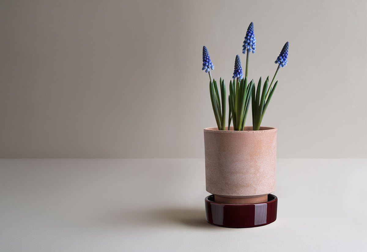 Hoff Planter, Bergs potter