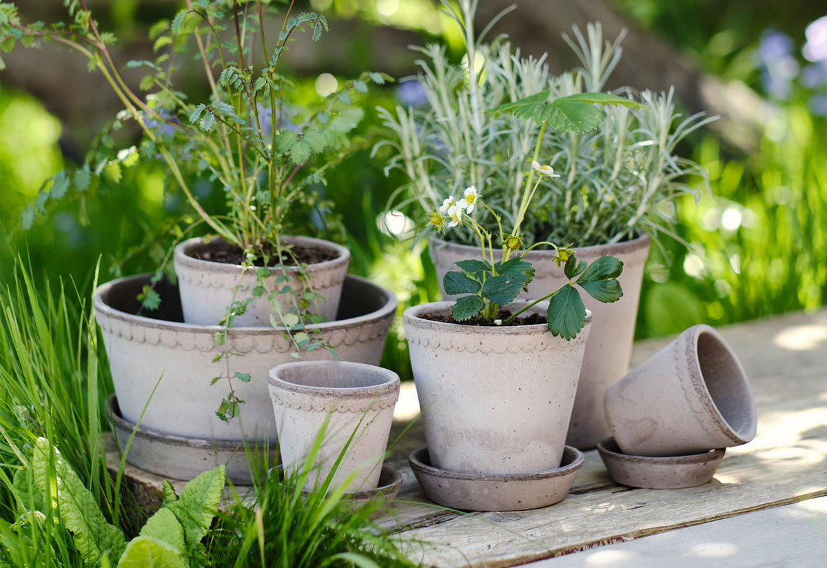 Helena Planter, Steffen berg, Bergs potter