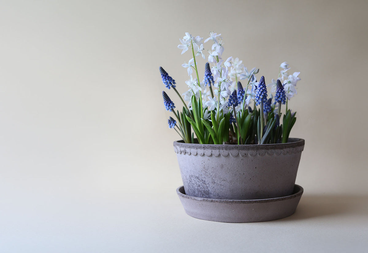 Helena Planter, Steffen berg, Bergs potter
