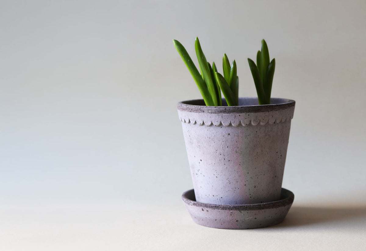 Helena Planter, Steffen berg, Bergs potter