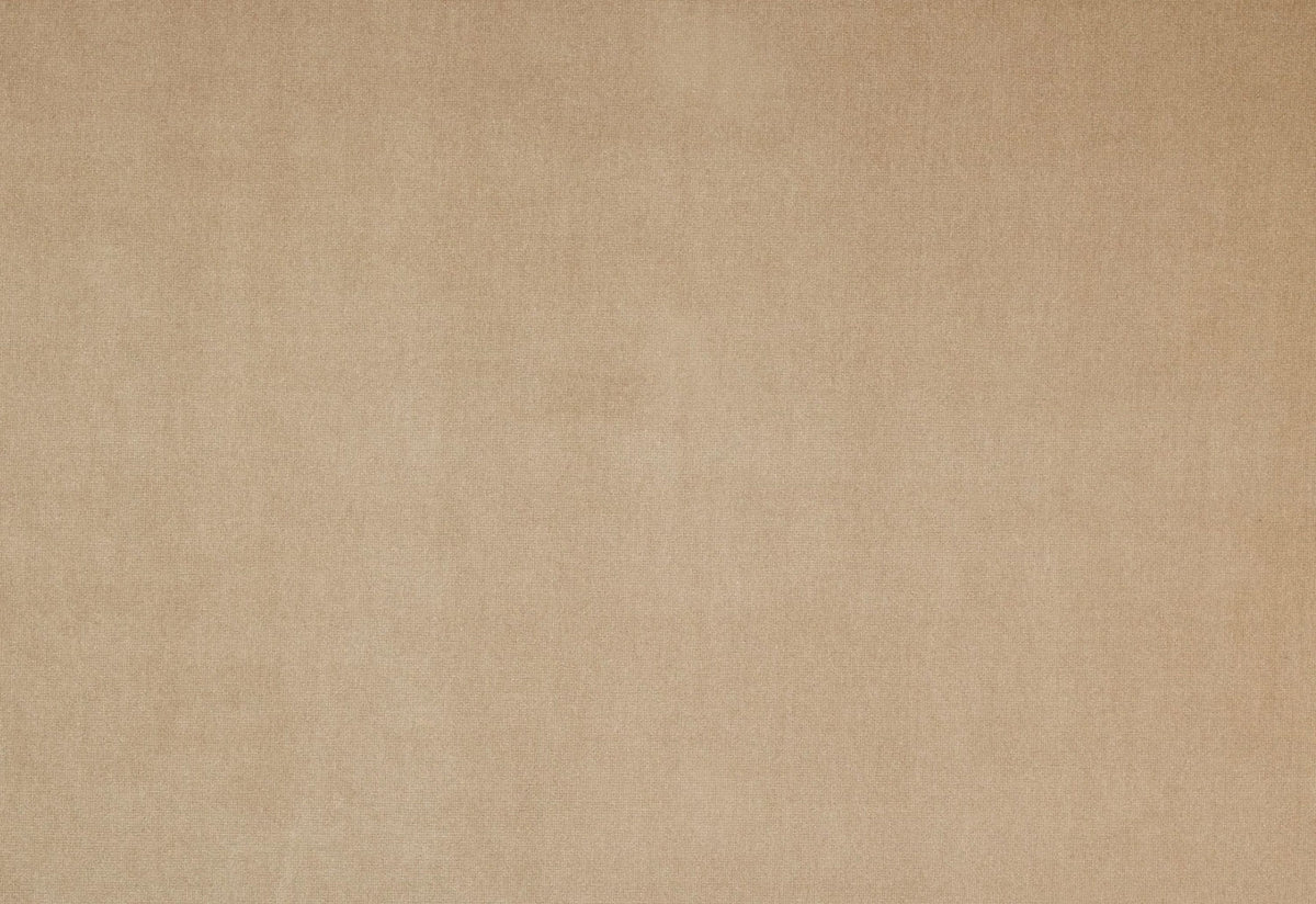 Beetle Dining Chair | Conic Base | Ex-Display