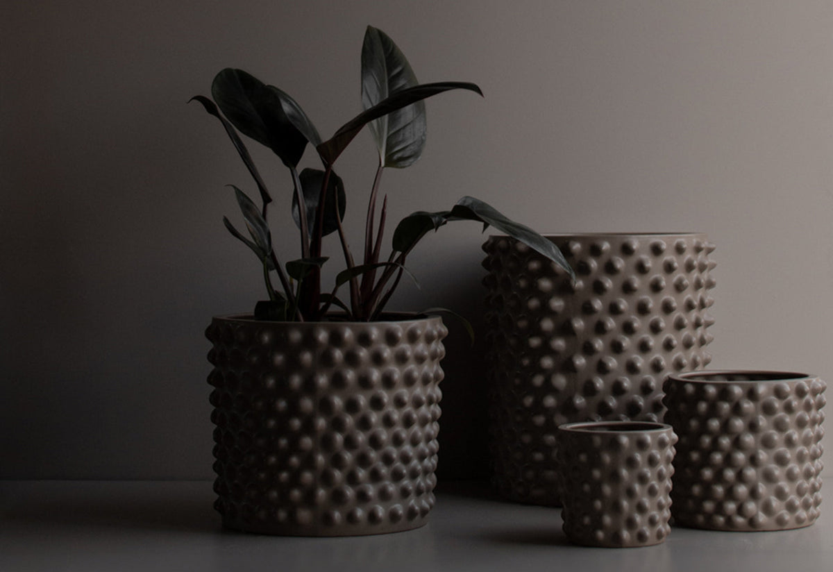 Cloudy Pot, Dbkd