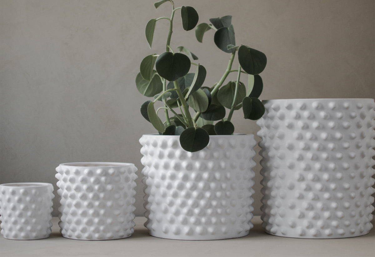 Cloudy Pot, Dbkd