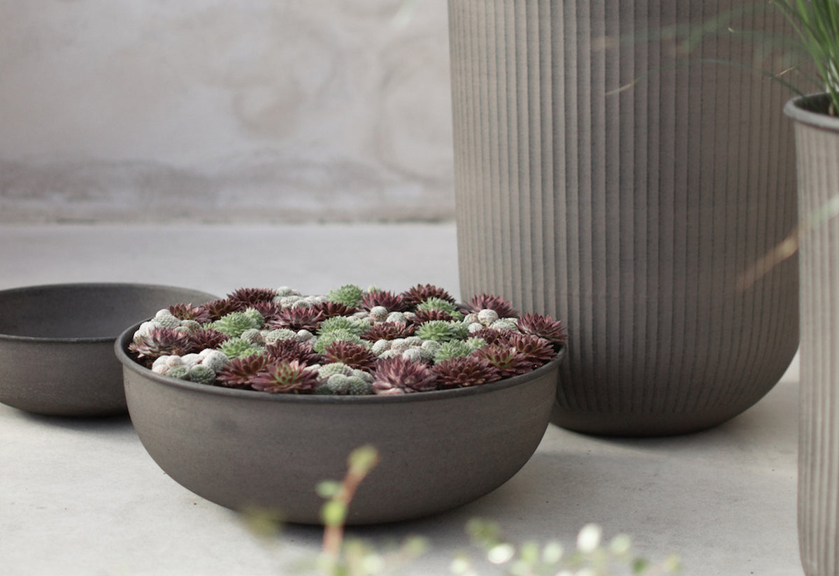 Out Low Bowl Planter, Dbkd
