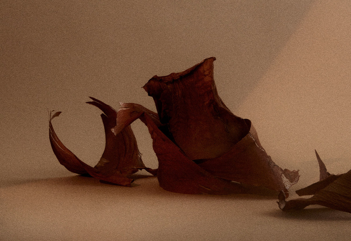 Eau de Parfum | 1917, Frama