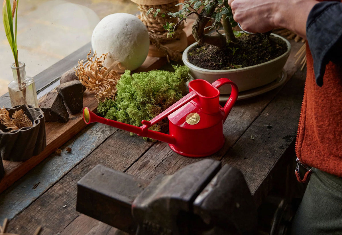 Langley Sprinkler Plastic Watering Can, Haws