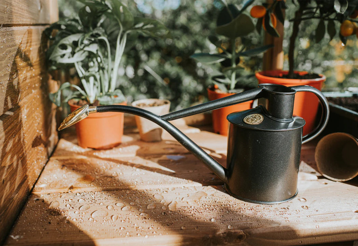 Rowley Ripple steel watering can, Haws