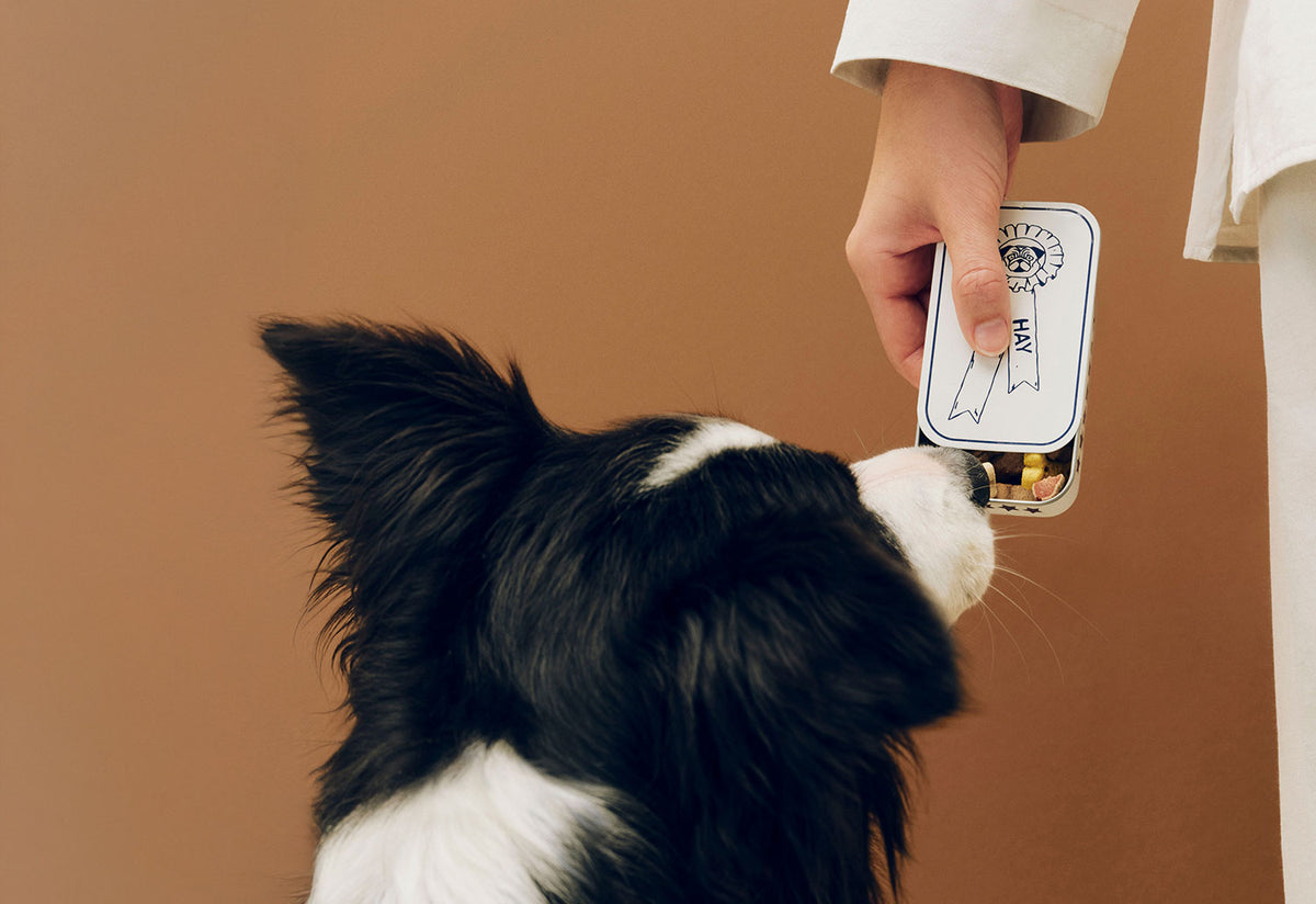 Dog Treat Tin, Holly golightly, Hay