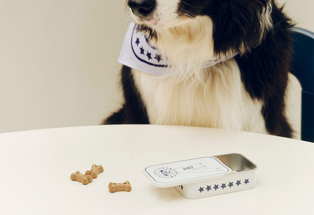 Dog Treat Tin, Holly golightly, Hay