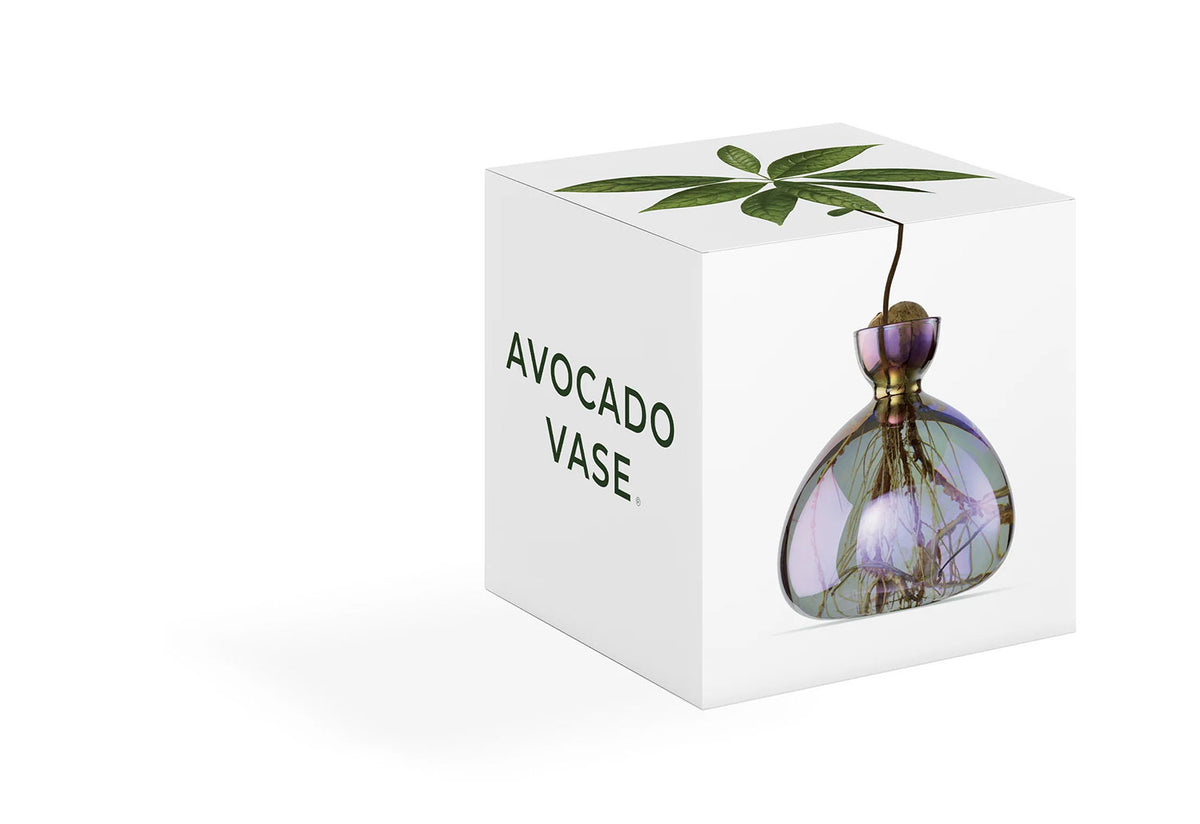 Avocado Vase, Ilex studio