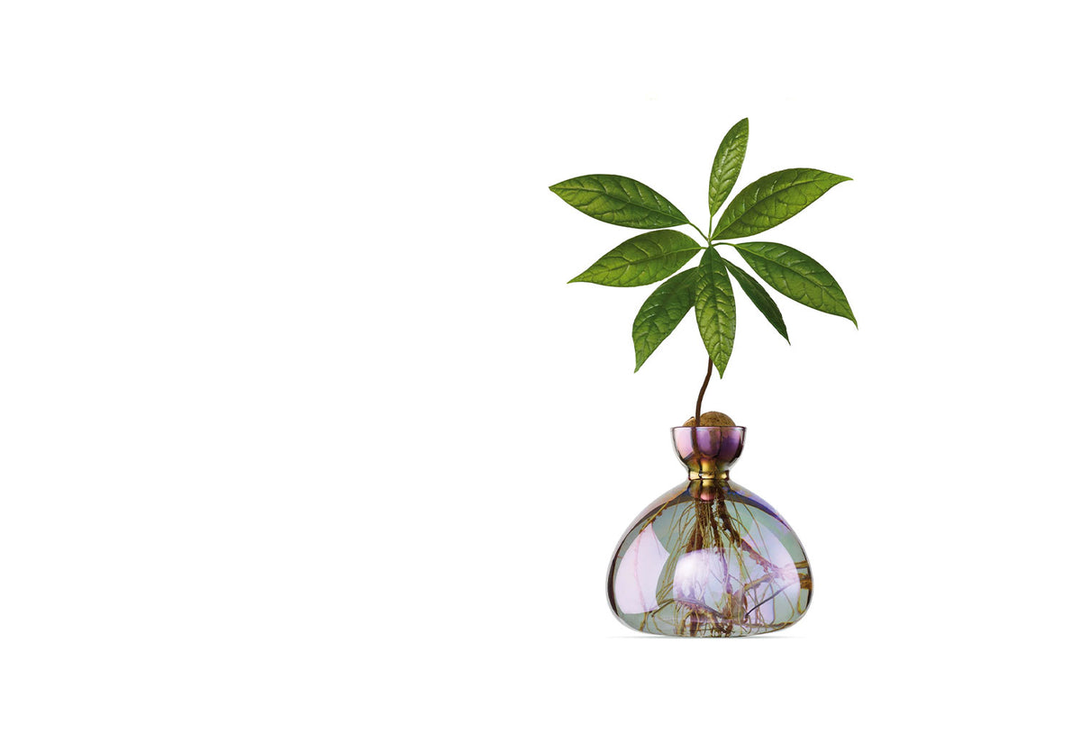 Avocado Vase, Ilex studio
