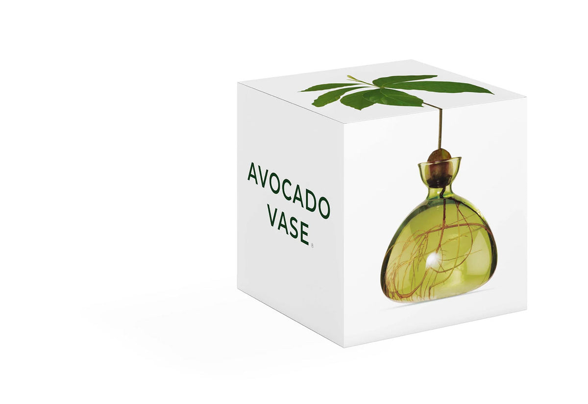 Avocado Vase, Ilex studio