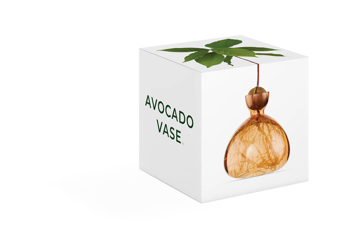Avocado Vase, Ilex studio