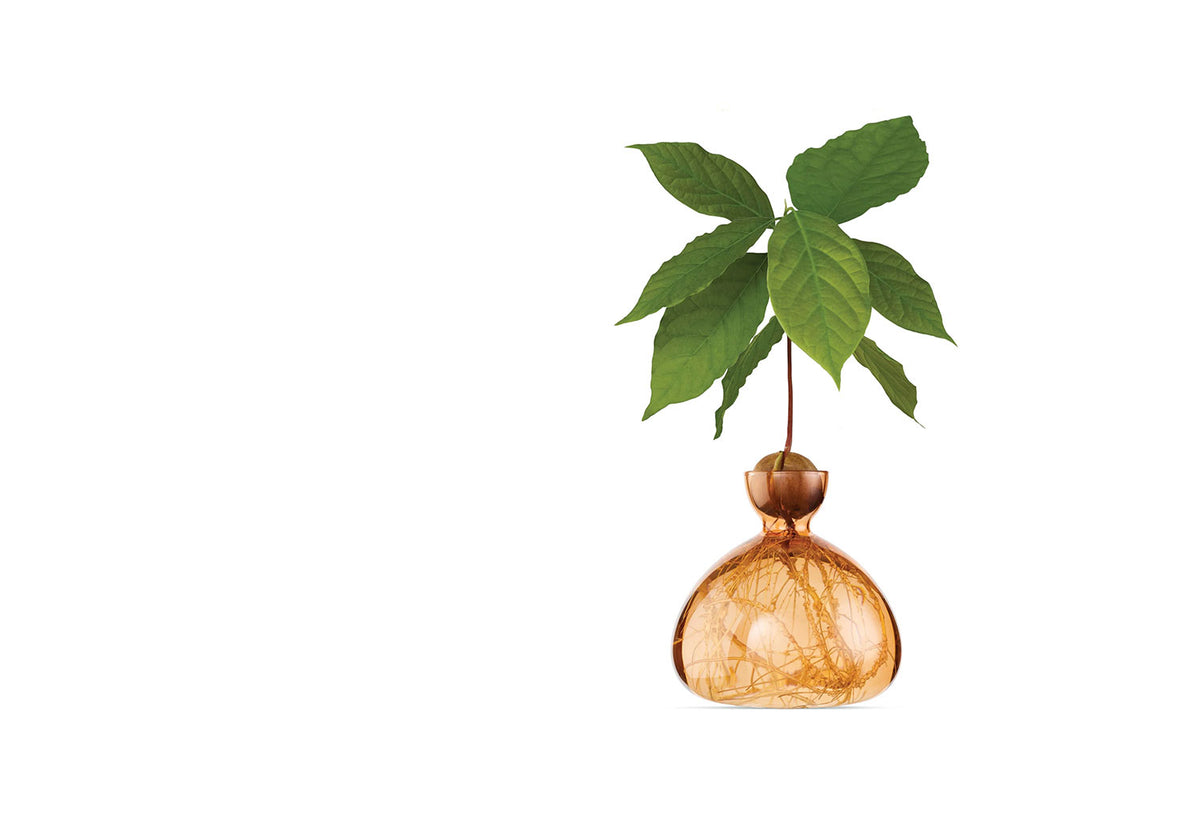 Avocado Vase, Ilex studio