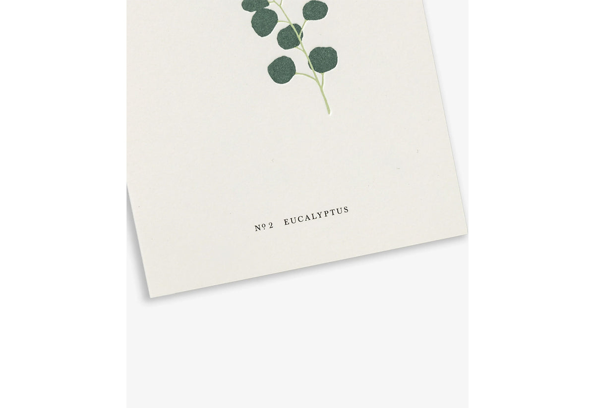 Eucalyptus card, Kartotek