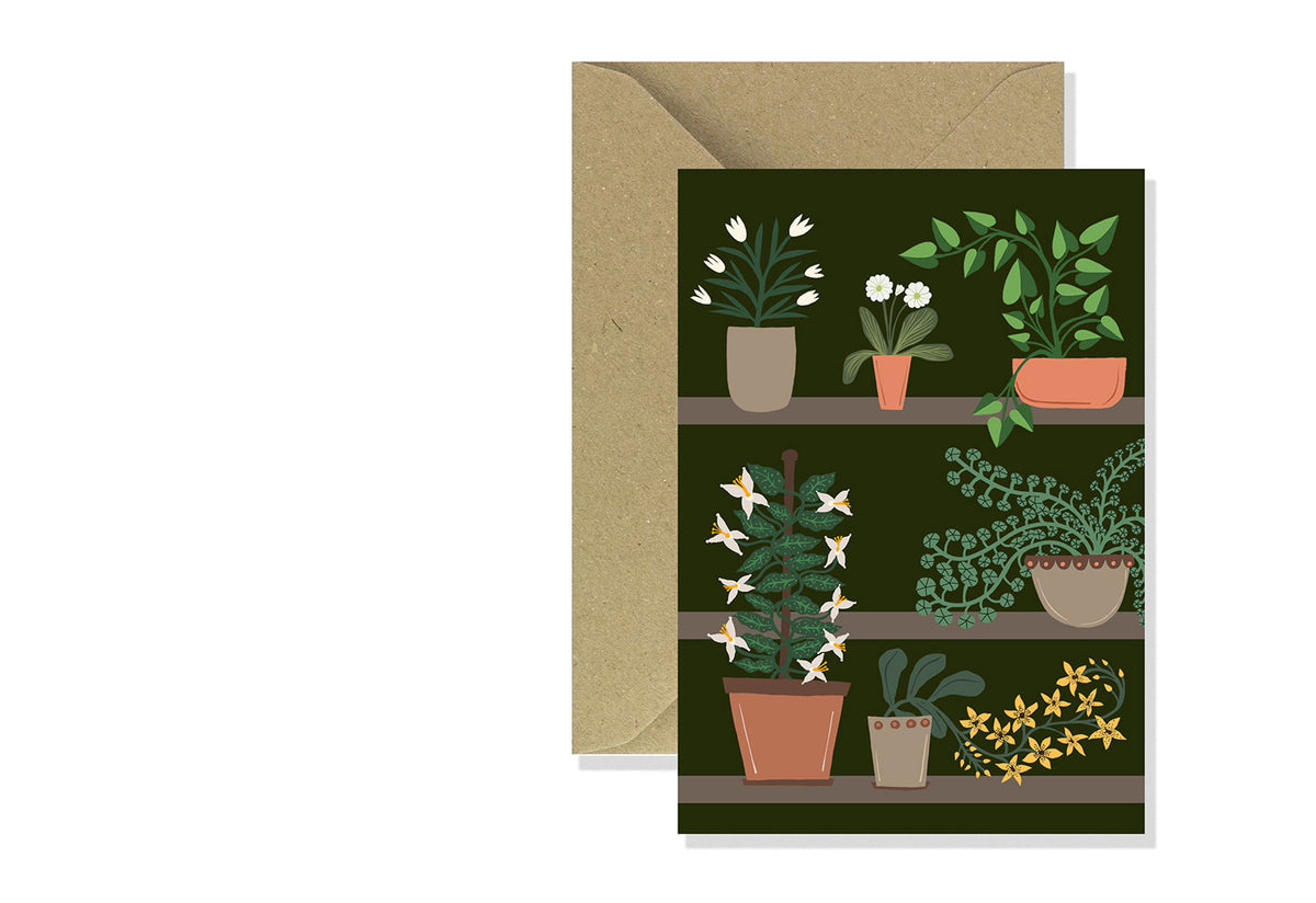Plant Collection Card, Kiran ravilious