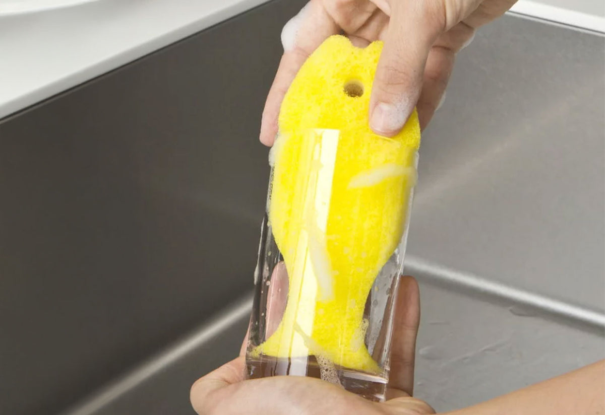 Fish Kitchen Sponge, Marna, Marna