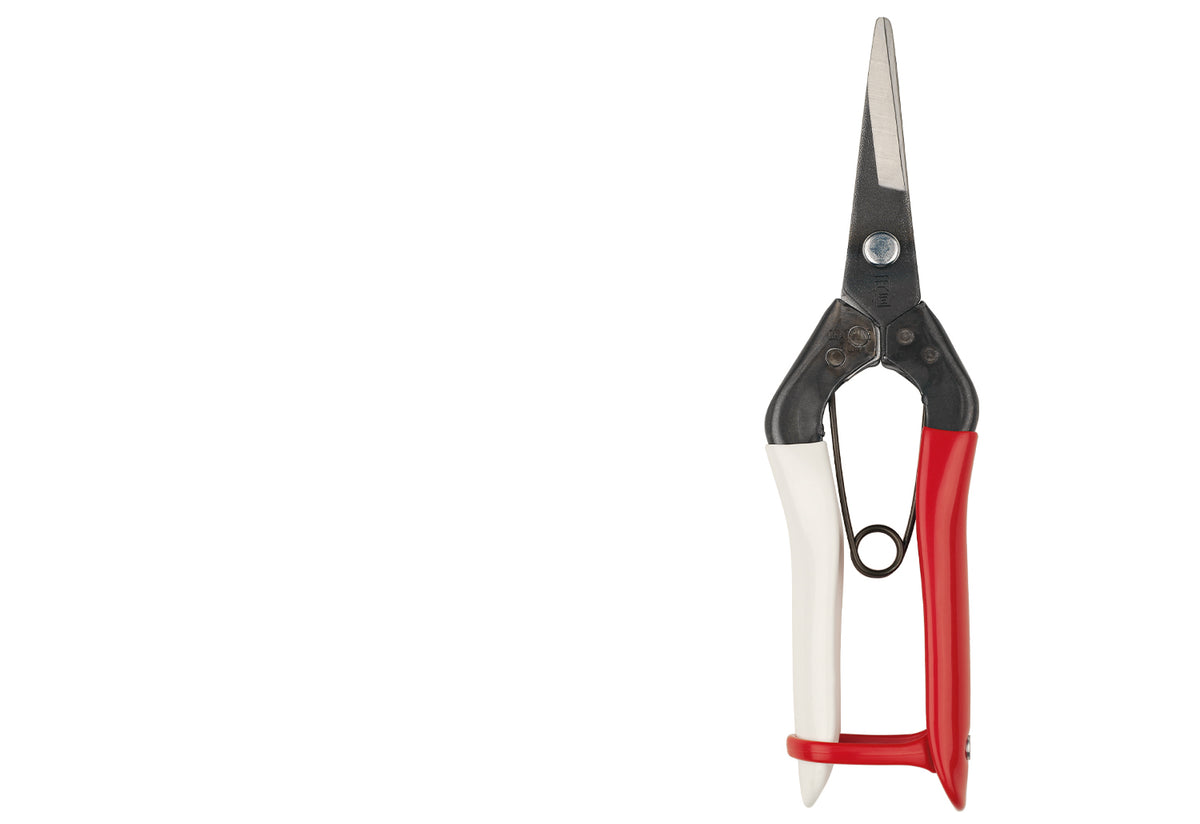 Okatsune Snips, Niwaki