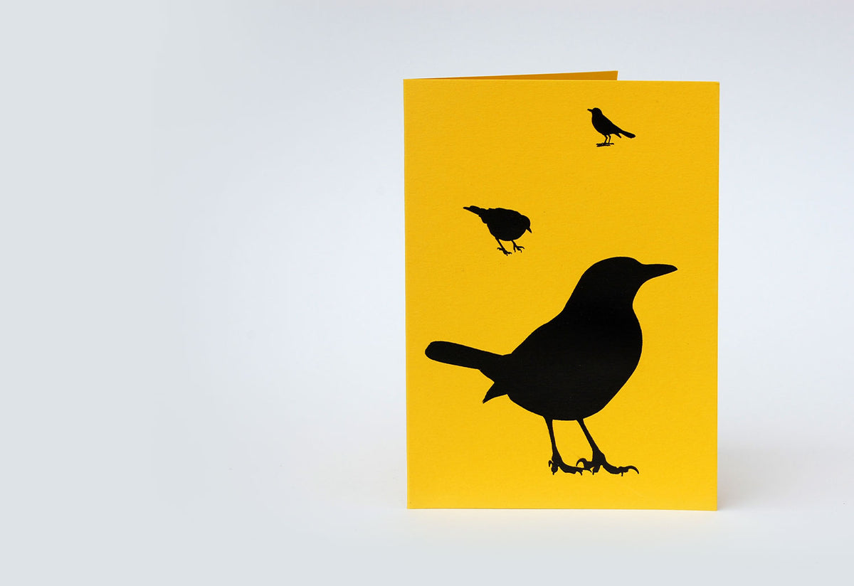 Blackbird Foil Card, Paul farrell