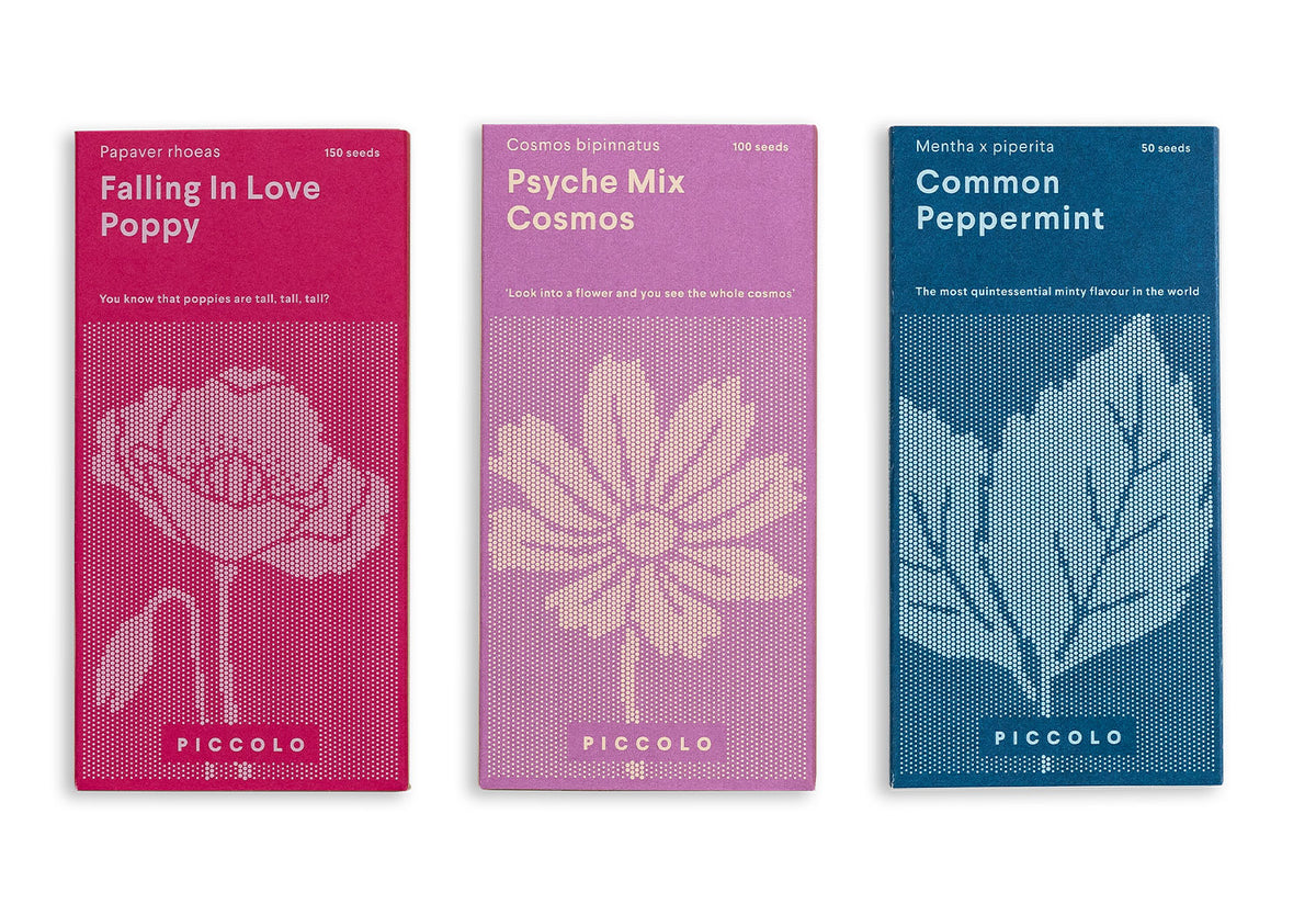 Piccolo Old Flowers Meadow Seed Collection, Piccolo
