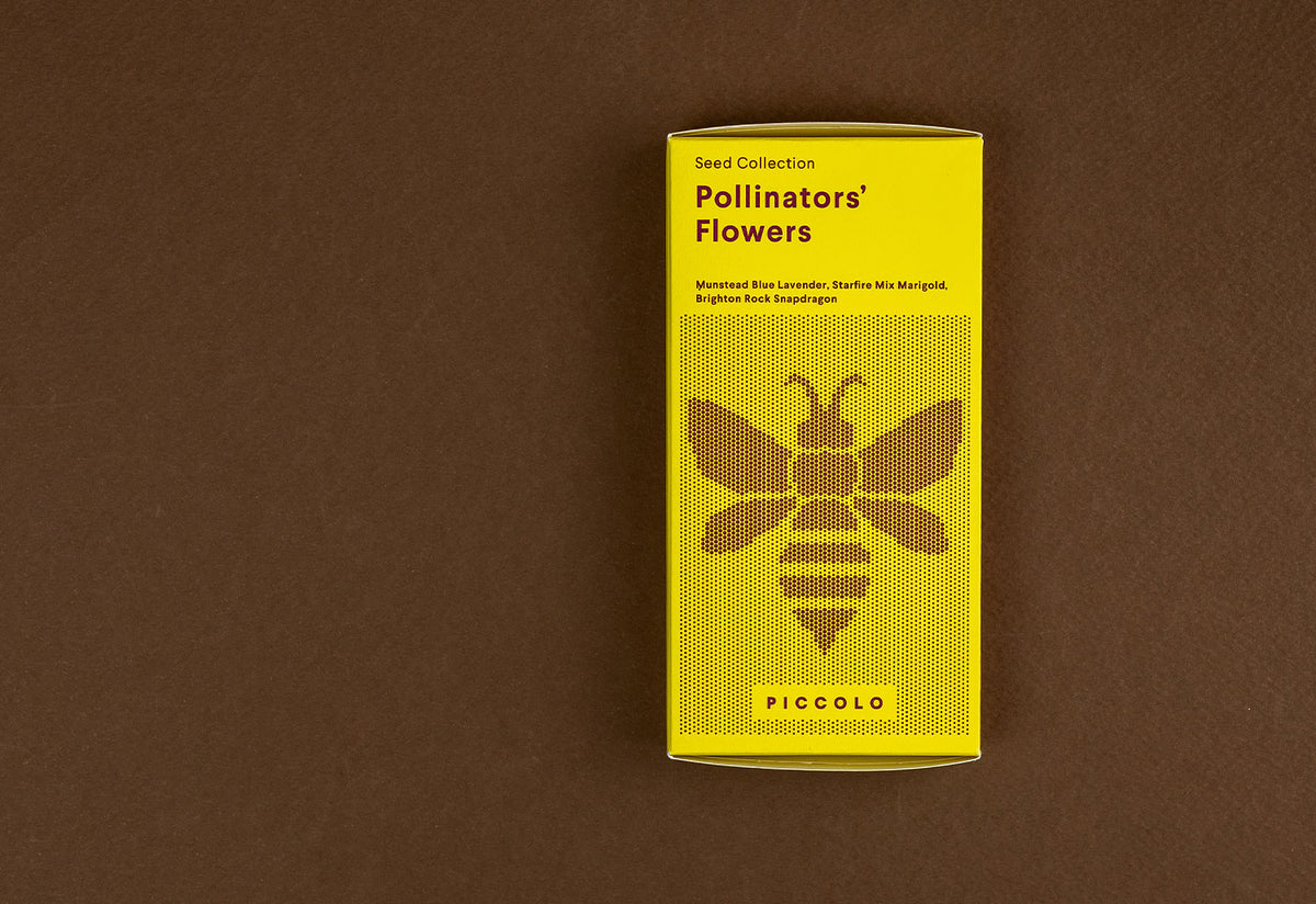 Piccolo Pollinators Seed Collection | twentytwentyone | Default Title