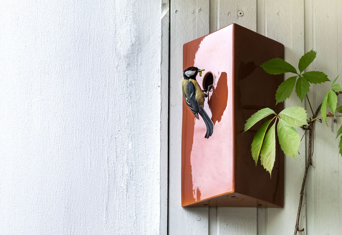 Koti Bird House, Mika and julie tolvanen, Pidat