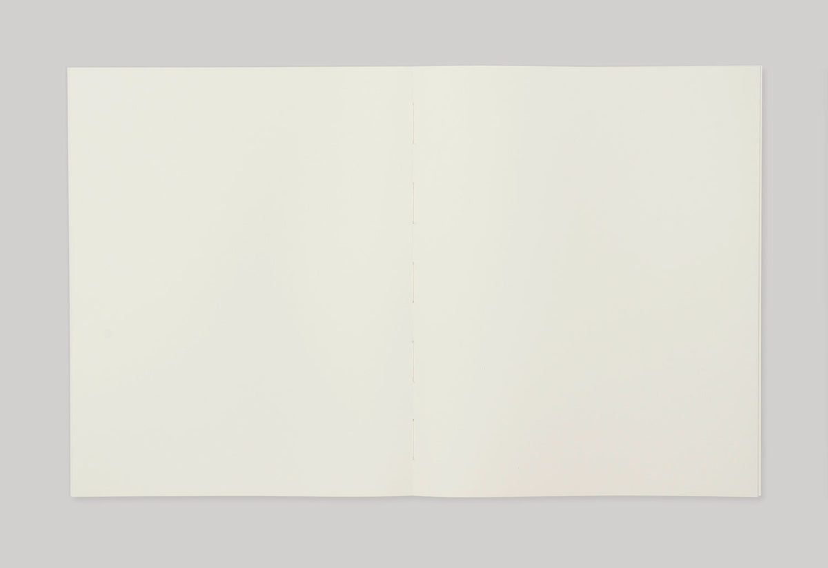 Pomelo Notebook, Pith
