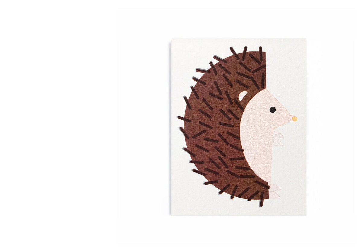 Hedgehog Card, Scout editions
