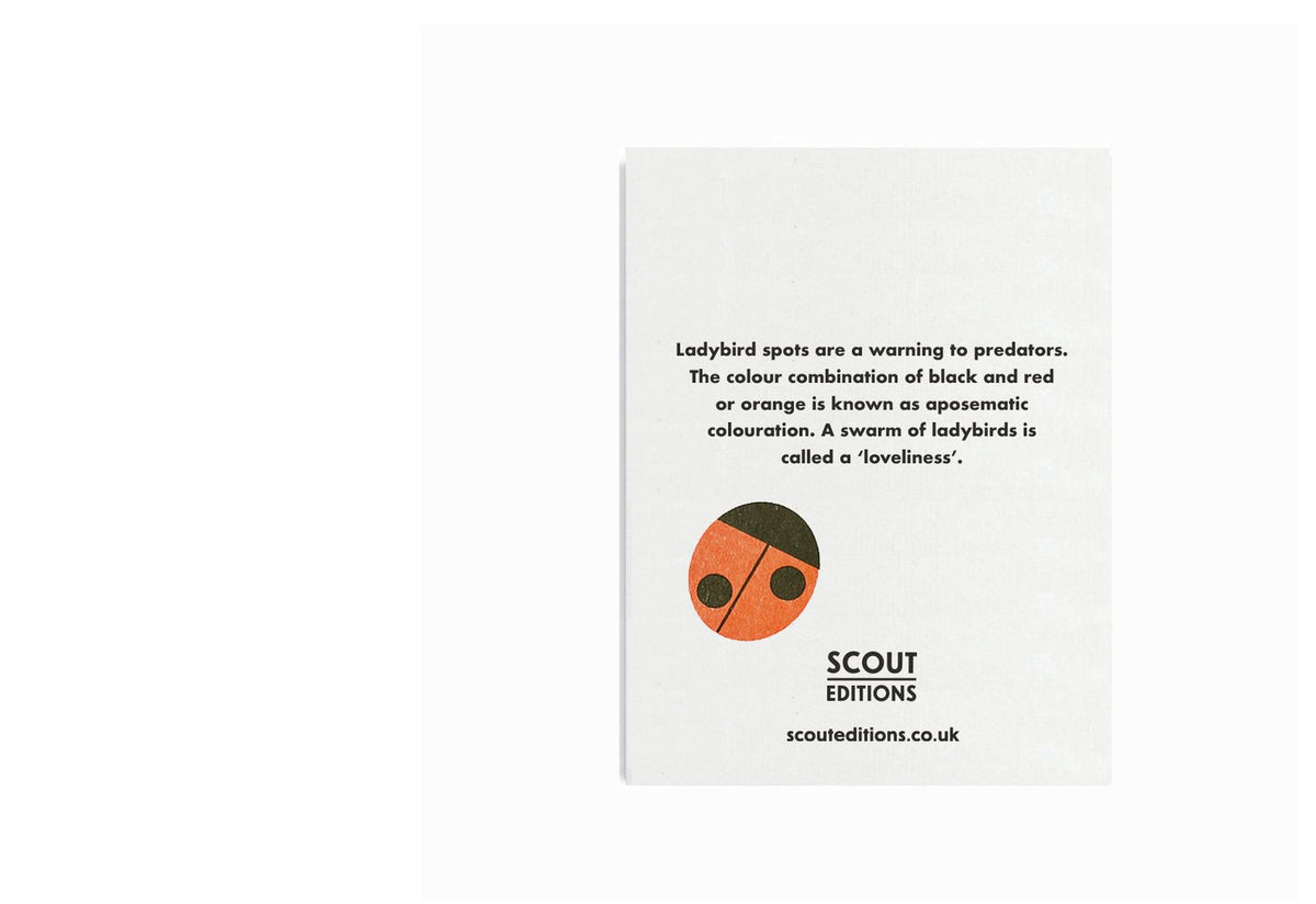 Ladybirds Card, Scout editions