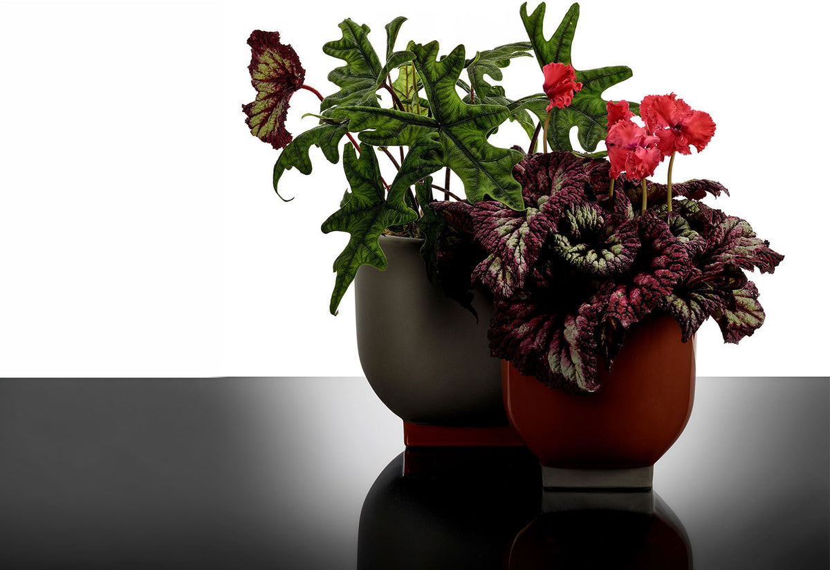 Rosamar Flower Pot, Kris van assche, Serax