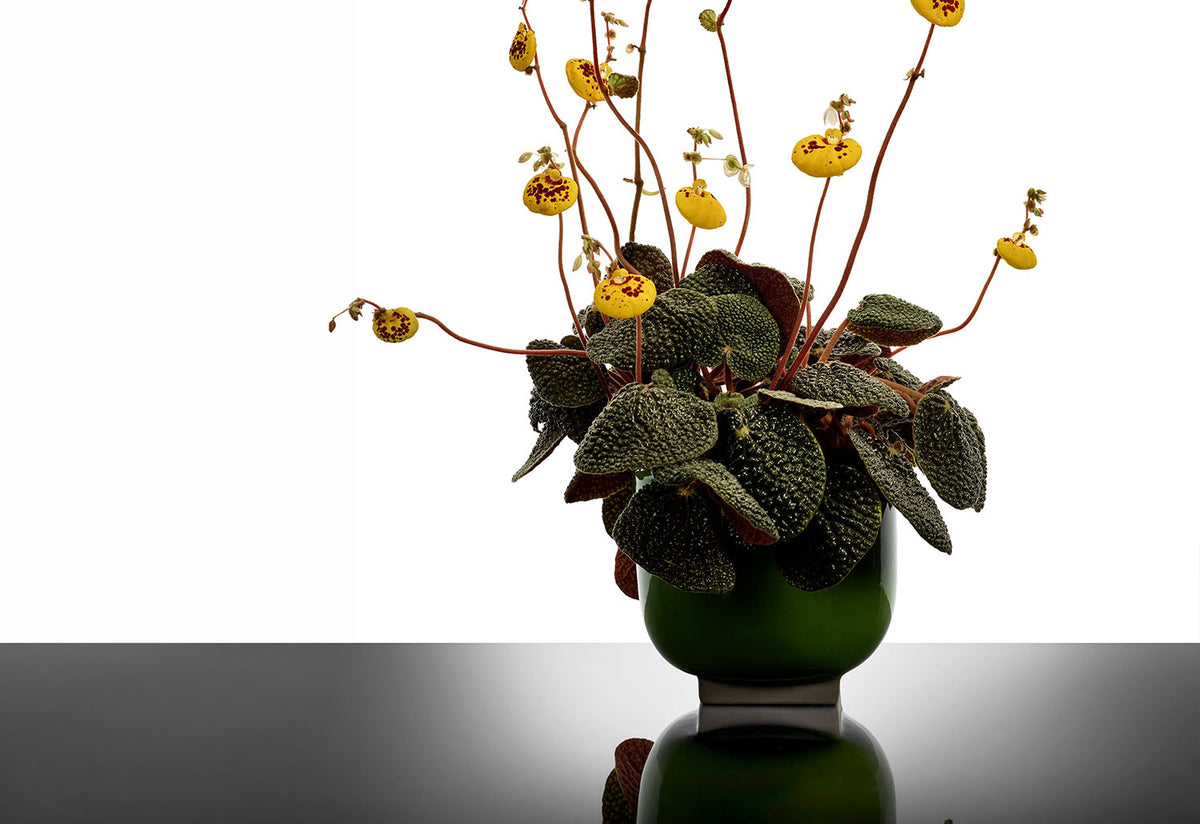 Rosamar Flower Pot, Kris van assche, Serax