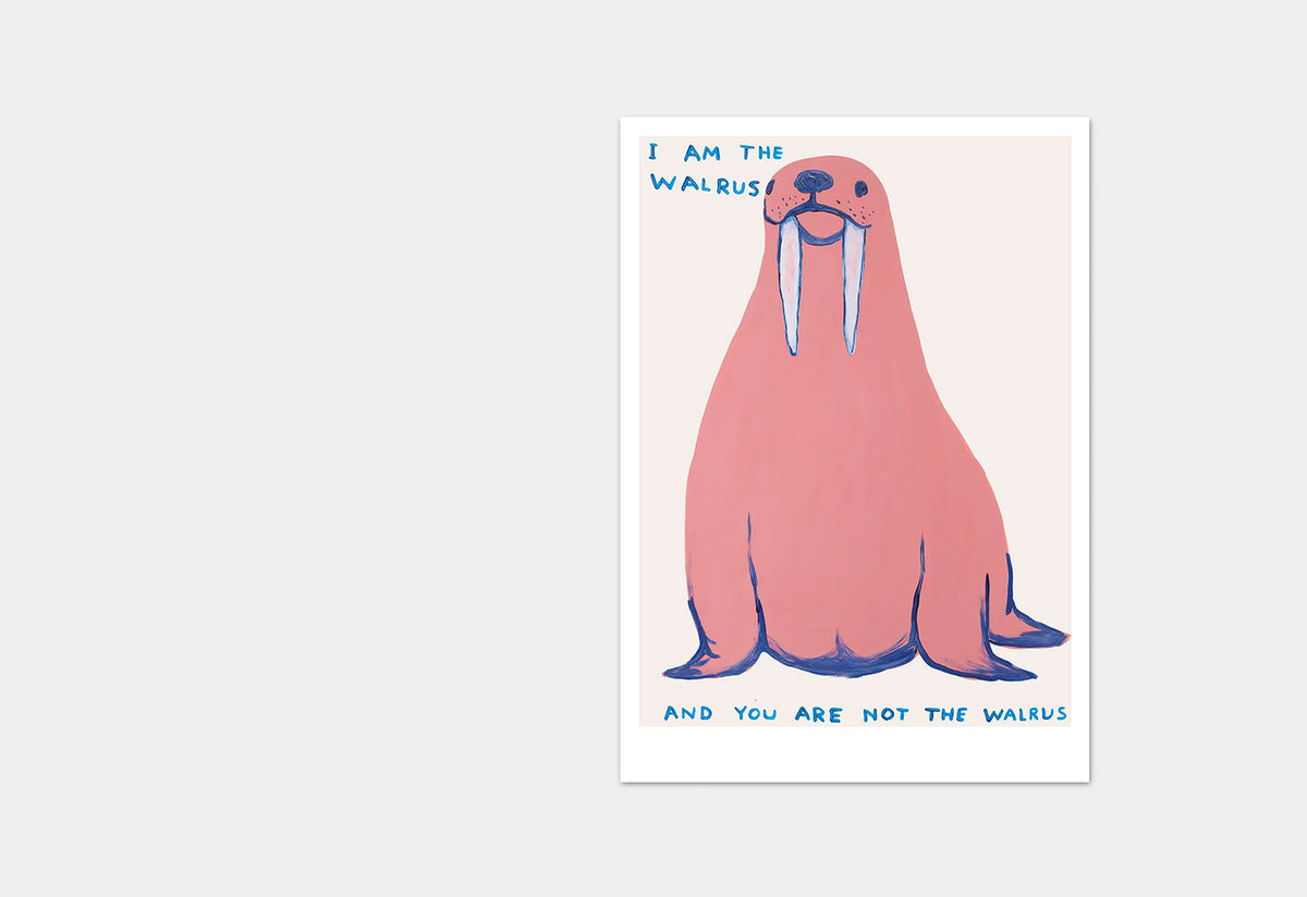 I Am The Walrus Postcard, David shrigley, Shrig shop